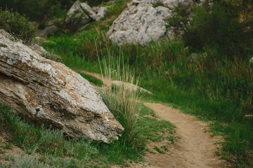 Fototapeta premium Stone near footpath, Kazakhstan