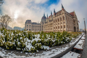 Naklejka premium Hungarian Parliament Building, Budapest, Hungary
