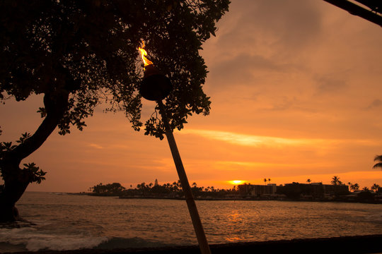 Colorful sunset with the silhouette of a tree in the background and a branding fakel in the foreground. Photo taken in Kona on Big Island, an island in Hawaii
