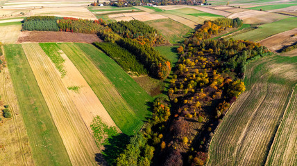 Colorful Farm Fields in Rural Countryside in Poland. Aerial Drone View