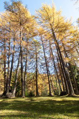 2019_10_trekking in Tret lake, cosy lake in Trentino Alto Adige, colored of autumn season
