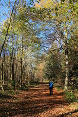 Obraz premium Wacholderhöhe Schwäbische Alb
