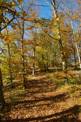 Wacholderhöhe Schwäbische Alb