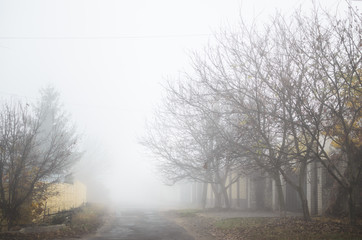 Village street with very dense fog