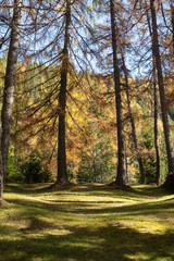 2019_10_trekking in Tret lake, cosy lake in Trentino Alto Adige, colored of autumn season