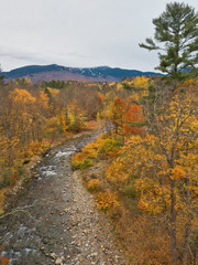 Fototapeta na wymiar Aerial drone overhead image of a Vermont brook and stream with fall colors all around