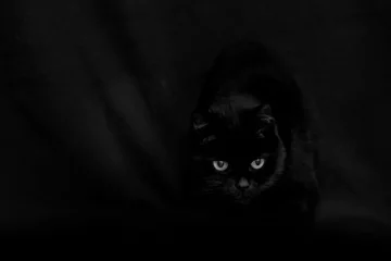 Meubelstickers blac cat on black - devil eyes © DDFoTo - Czerniawsky
