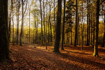 Obraz premium Siegerland