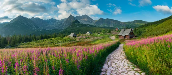 Fotobehang Tatra berglandschap, Tatra-gebergte panorama, Polen kleurrijke bloemen en huisjes in de Gasienicowa-vallei (Hala Gasienicowa), zomer