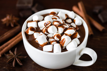 Hot chocolate with chocolate sauce and marshmallows in white cup. Closeup view