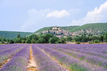 Fotobehang Lavendel Panoramisch uitzicht op het dorp Banon, Alpes de Haute Provence, Frankrijk. Lavendelveld op de voorgrond.  © Marina