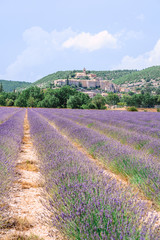 Fototapeta na wymiar Vue panoramique sur le village de Banon, Alpes de Haute Provence, France. Champ de lavande au premier plan. 