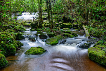 Tham yai waterfall, a beautiful waterfall in a forest filled with green trees at Phu Kradung National Park in the rainy season, which is famous tourist destination in Thailand.