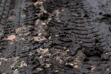 car wheel marks on muddy road