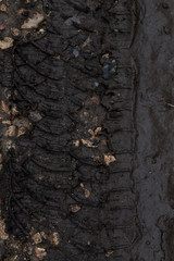 car wheel marks on muddy road
