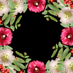 Beautiful autumn background of rowan and mallow. Isolated