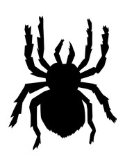 Vector silhouette of big scary spider. Motives of fauna, domestic pets, wildlife, danger in nature, arachnophobia, nature, horror