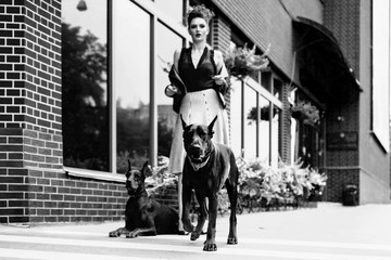 A girl walks along the street in the city along the building with two Dobermans on a leash