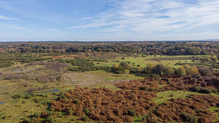 Fototapeta na wymiar An aerial view of the New Forest with heartland, forest and wild vegetation with beautiful autumn colors under a majestic blue sky and white clouds