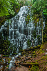 Fototapeta premium Ramona Falls, in Zig Zag RD of the Mt. Hood NF.