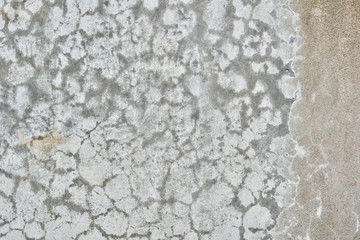 texture of old wall