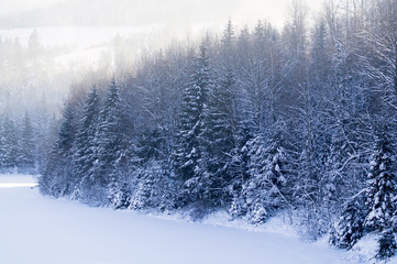winter in the countryside