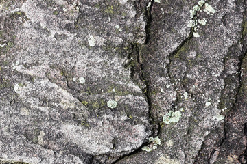 Stone surface