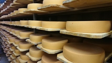 Käse im Allgäu