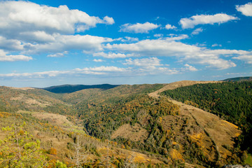 Fototapeta premium Beautiful mountain landscape, with mountain peaks covered with forest and a cloudy sky. Ukraine mountains, Europe