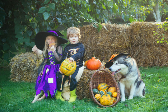 Children sister and brother with pumpkin dressed like skeleton and witch for Halloween party. Halloween on countryside. Happy Halloween with sweets candles.