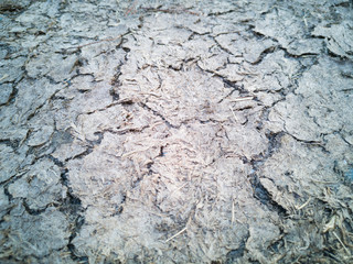 Cracked soil from drought and lack of water