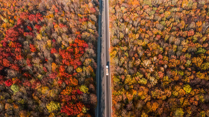 Aerial view of the road in beautiful autumn forest