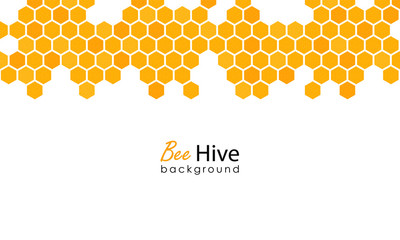 Honeycomb background. Hexagon beehive design isolated. Vector illustration