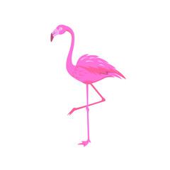 Pink flamingo bird isolated on a white background. Vector illustration in flat style.
