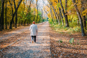 Fototapeta premium elderly women walk in the autumn