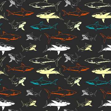 Abstract seamless vector underwater pattern for girls, boys, clothes. Creative background with sharks. Funny wallpaper for textile and fabric. Fashion style. Colorful bright