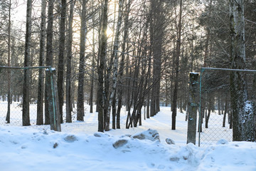 Winter landscape snow covered expanses. A park in the winter in the snow. Road on a winter day.