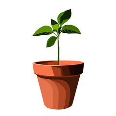  flowerpot realistic vector illustration isolated