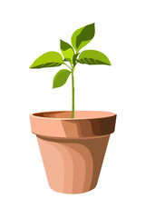  flowerpot realistic vector illustration isolated