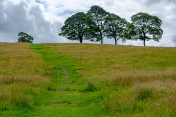 Fototapeta na wymiar Beautiful Landscape in Lyme Park estate, Peak District, UK