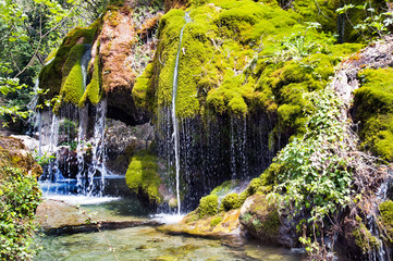 Small waterfalls and mossy rocks, part of the forest called 'Capelli di Capelvenere waterfalls',...