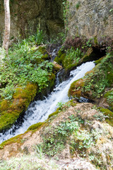 Woodland spring of a mountain stream that comes out of a small natural cave