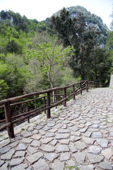 Fenced road leading to the top of the mountain