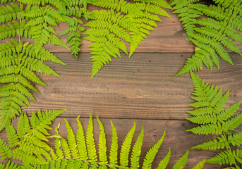 Green carved fern leaves on wooden background.