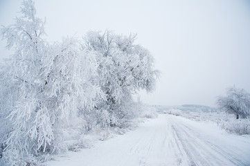 Fototapeta premium Dirt road in the forest in winter