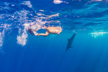 Woman snorkeling toward dolphin on surface of ocean © Melissa Burovac
