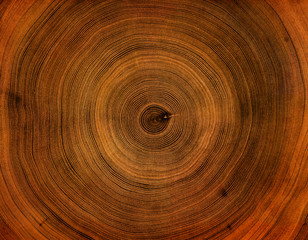 Fototapety  Stare drewniane drzewo powierzchni cięcia. Szczegółowe, ciepłe, ciemnobrązowe i pomarańczowe odcienie ściętego pnia lub pnia drzewa. Szorstki tekstura organicznych słojów drzewa z bliska końcowego ziarna.