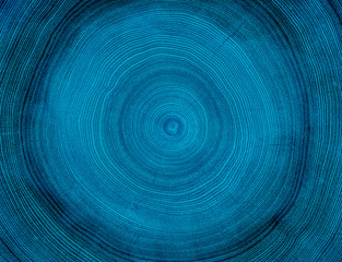 Blue tree rings cut surface. Detailed cyan texture of a felled tree trunk or stump. Rough organic tree rings with close up of end grain.
