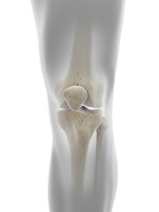 3d rendered medically accurate illustration of the skeletal knee