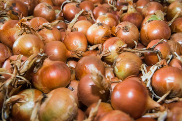 Obraz premium Fresh yellow onions as a background